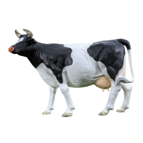 Kuhtag — Fribourgeoise (~H150 x Long.220 cm)