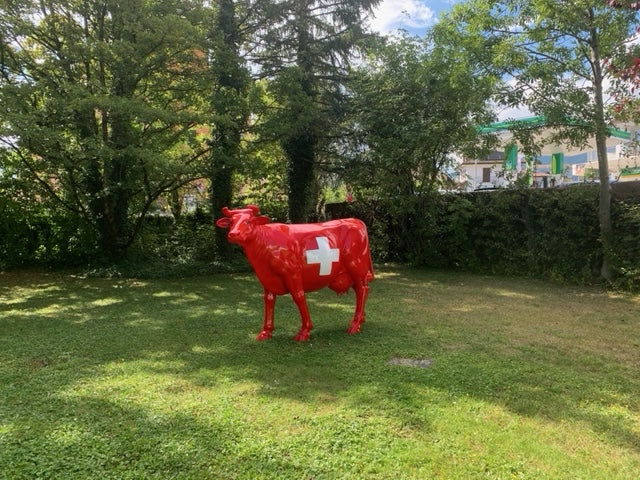 Kuhtag — Avec croix suisse (~H155 x Long.220 cm) — vue 2