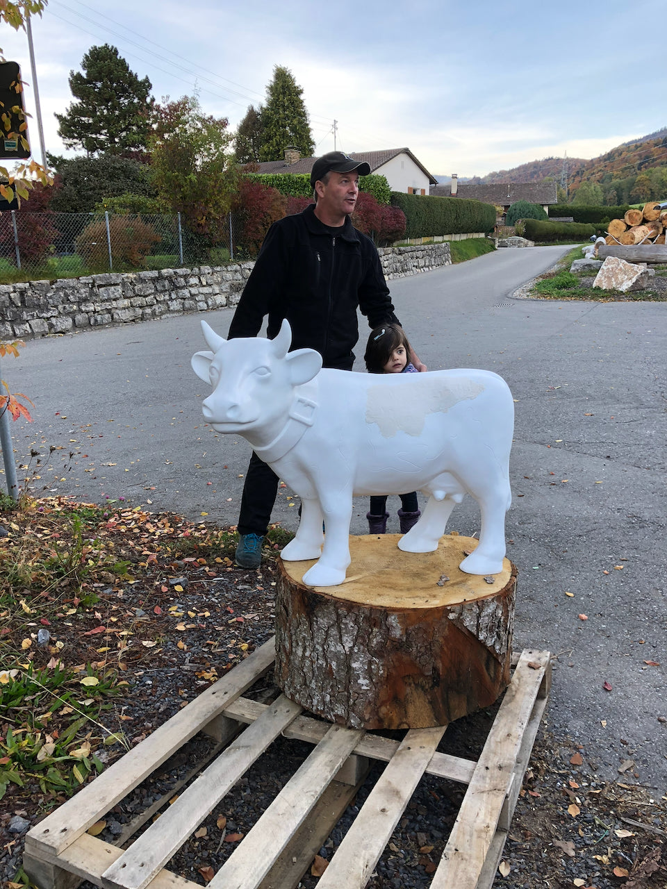 Un enfant découvre sa vache Kuhtag blanche