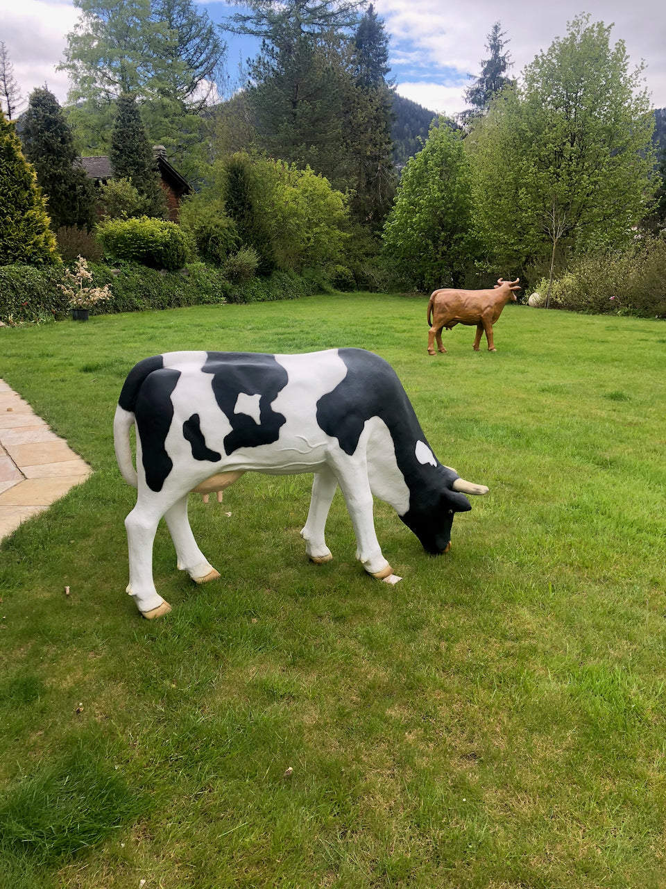 Vache Kuhtag noire et blanche broutant dans un jardin de montagne