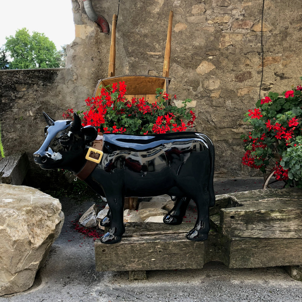 Vache Kuhtag noire avec cloche parmi les géraniums