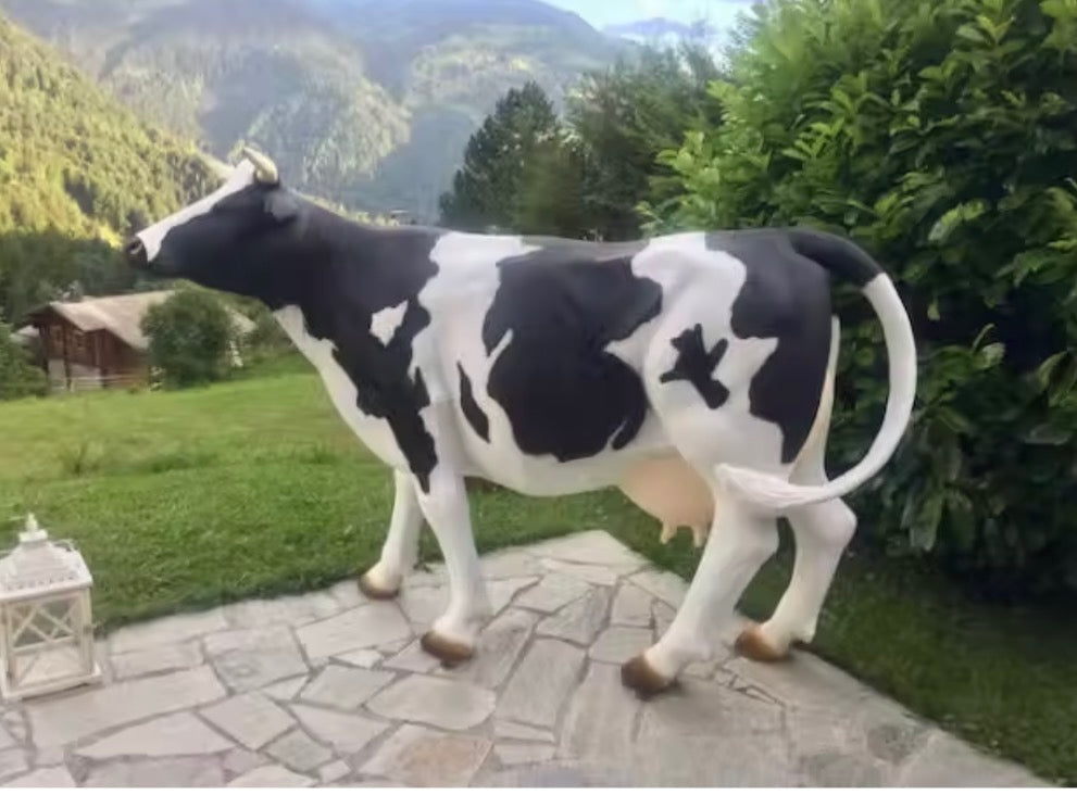 Vache Kuhtag noire et blanche face aux montagnes