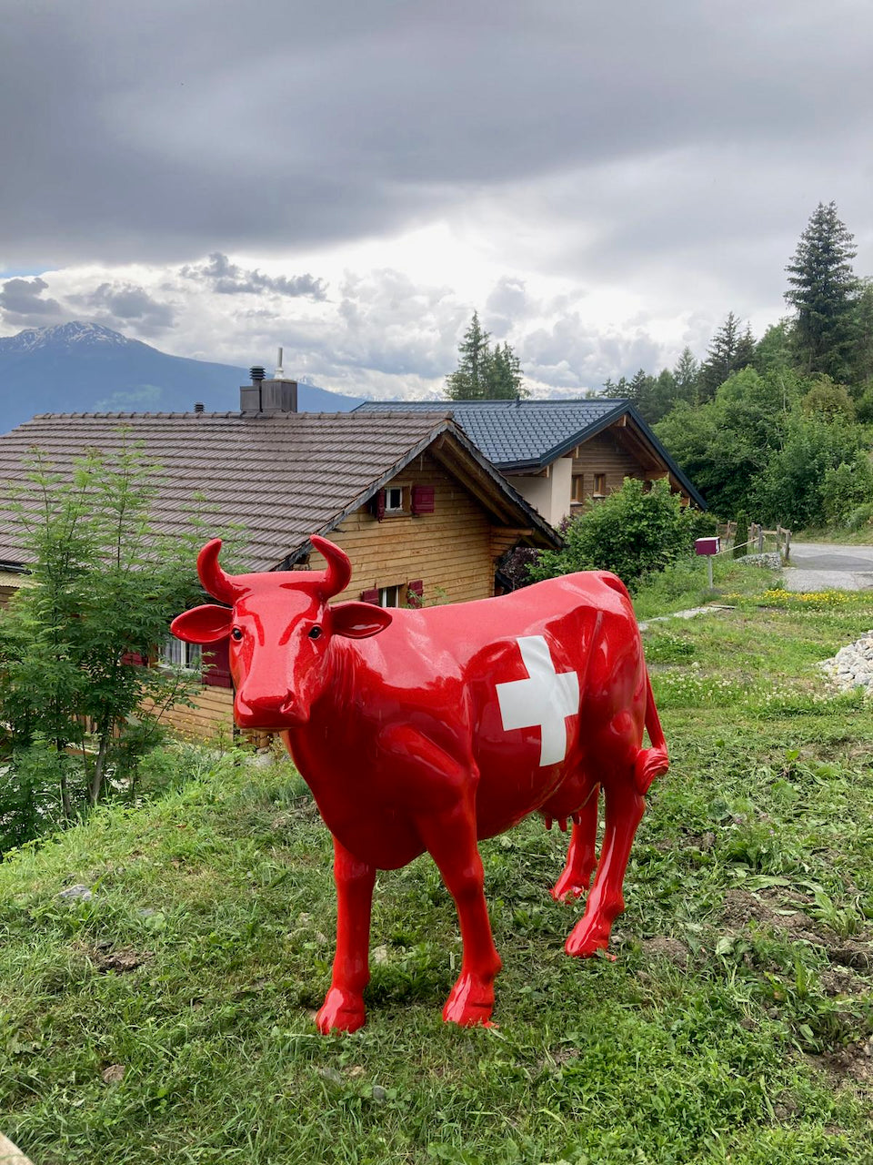Vache Kuhtag à croix suisse devant un chalet