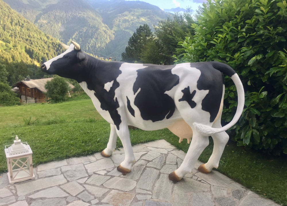 Vache Kuhtag noire et blanche sur une terrasse face aux montagnes