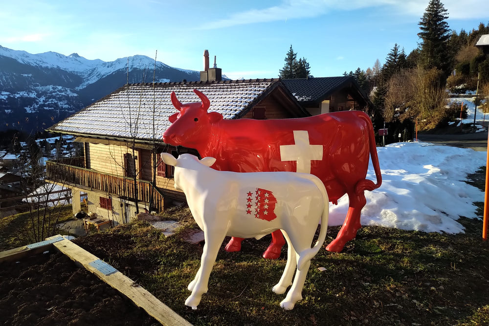 Vaches Kuhtag devant un chalet enneigé