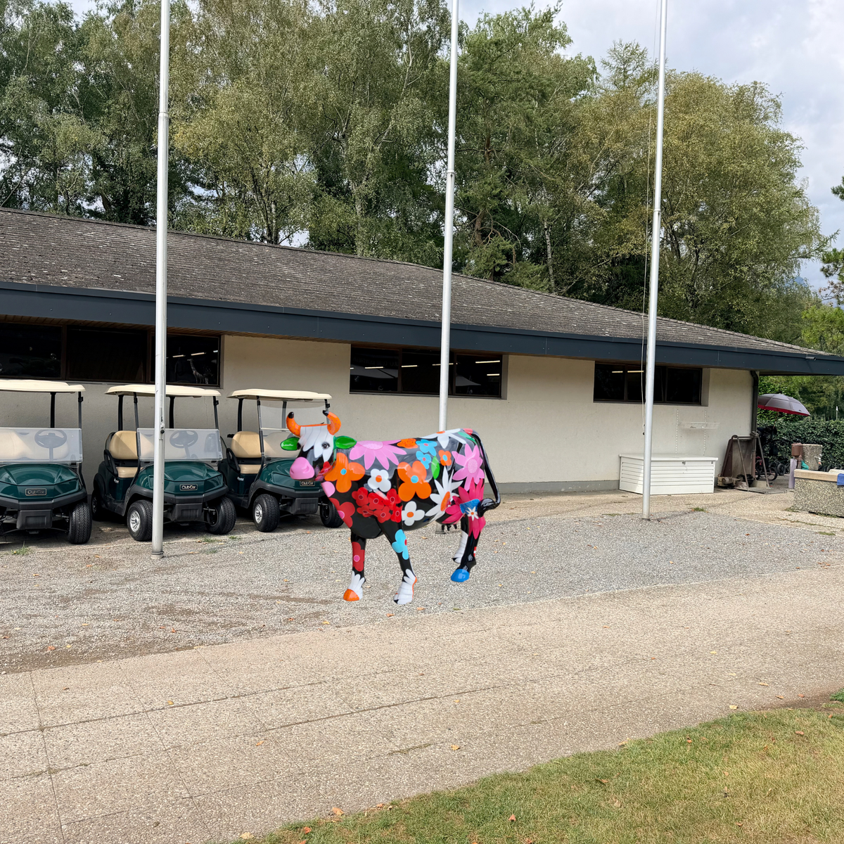 Vaches Kuhtag au Golf Club de Montreux