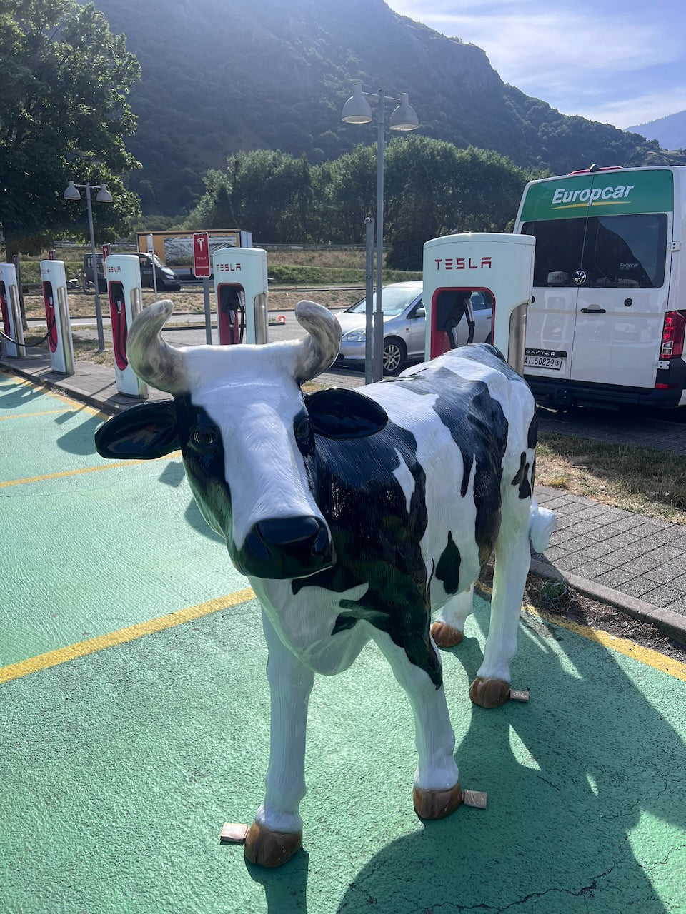 Vache Kuhtag noire et blanche devant le Relais du Grand-Saint-Bernard à Martigny