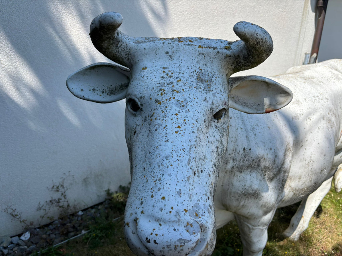 Tête de vache en résine écaillée avant rénovation
